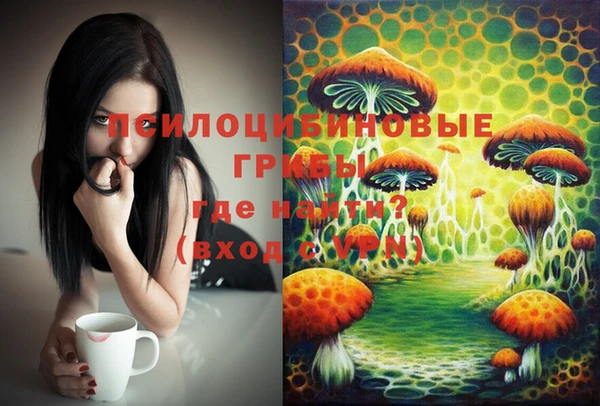 первитин Абинск