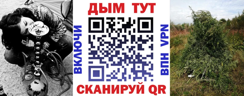 Бошки марихуана гибрид  мега ССЫЛКА  Хабаровск  цены  